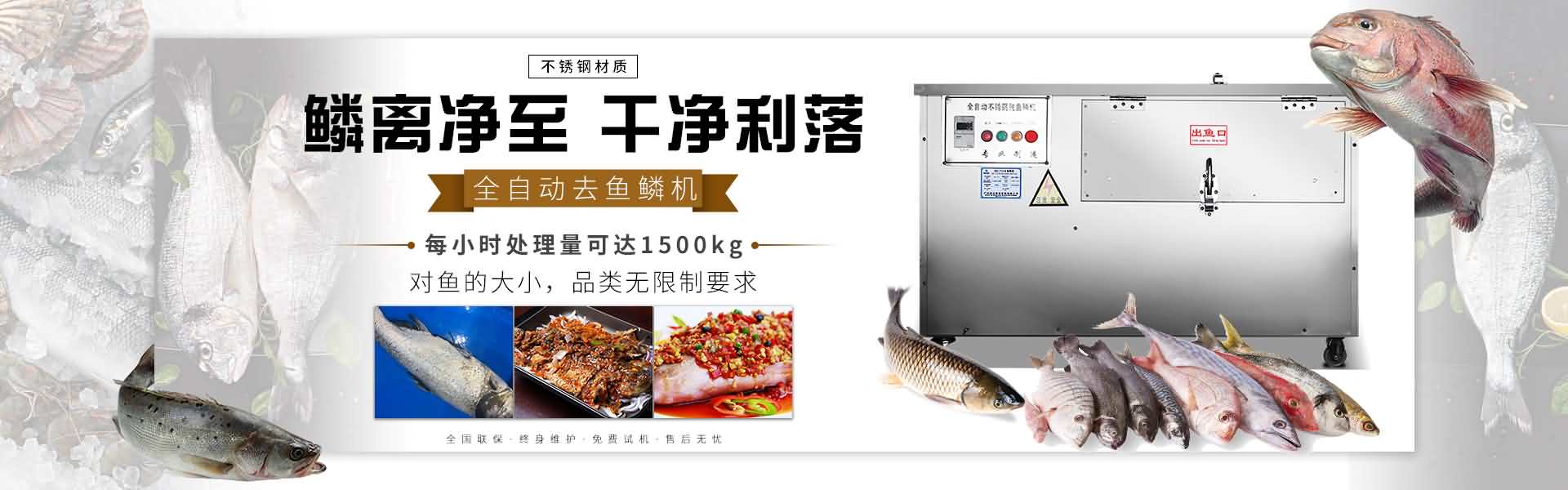去鱼鳞机设备_轻松去黑鱼鳞机器_刮草鱼鳞机