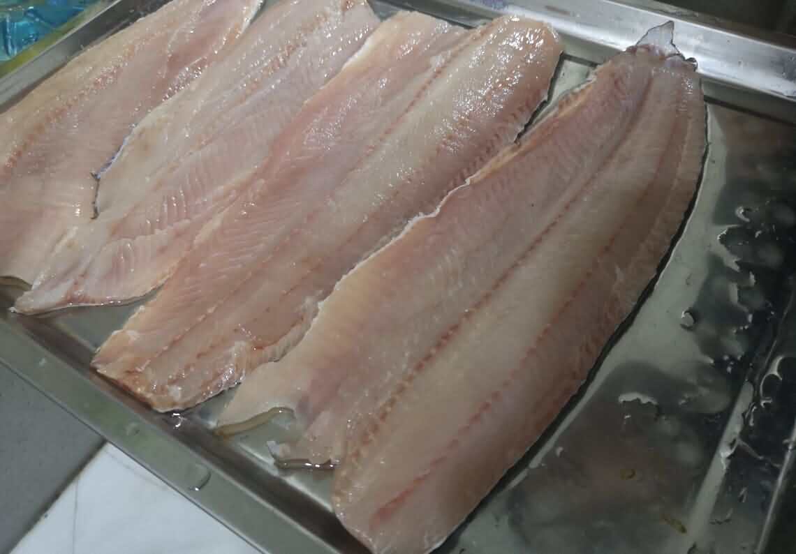 片魚機，斜切魚片機，全自動魚片機，商用魚片機，旭眾片魚片機器