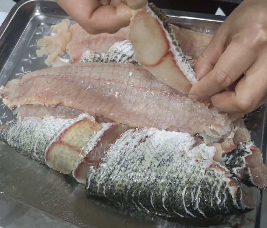 片魚機，斜切魚片機，全自動魚片機，商用魚片機，旭眾片魚片機器
