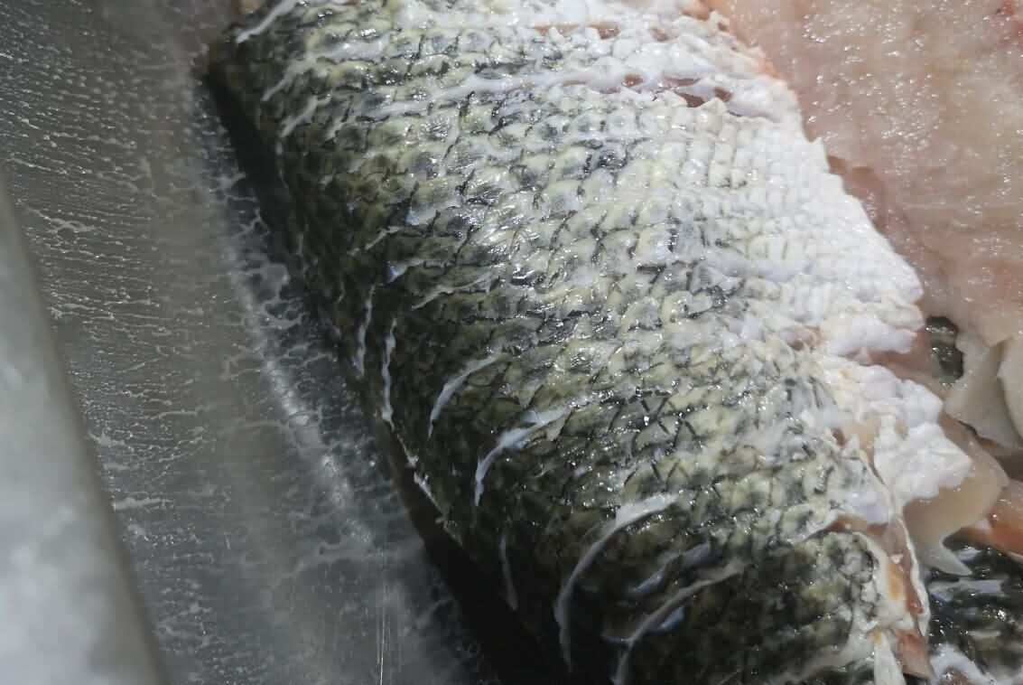 片魚機，斜切魚片機，全自動魚片機，商用魚片機，旭眾片魚片機器